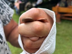 WhatsApp Bild 2024-07-21 um 20.47.58_18e10175